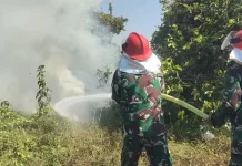 Kodim Gowa dan Damkar Padamkan Karhutla di Pallangga