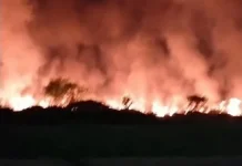 Kebakaran Lahan Kosong di Parangloe Berhasil Dipadamkan