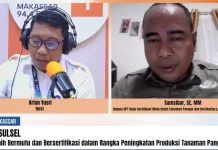Benih Bermutu dan Bersertifikasi Dukung Kemandirian Pangan Sulsel