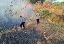 Kepolisian Gerak Cepat Atasi Kebakaran Lahan di Perbukitan Moncongloe
