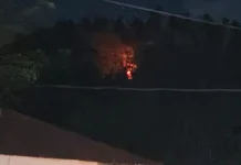 Kebakaran Lahan Terjadi di Perbukitan Balangsembo Selayar