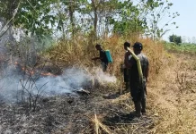 Lahan 50 Are Terbakar di Gowa, Babinsa dan Warga Bergerak Cepat Padamkan Api