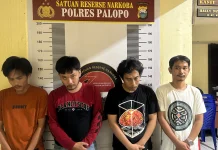 Selama Agustus 2026, Satresnarkoba Polres Palopo Ungkap 8 Kasus, 13 Orang Diamankan