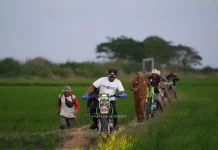 Bupati Sidrap Cek Sawah Arateng, Serahkan 18 Pompa Air