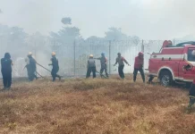 Tim Gabungan Padamkan Kebakaran 10 Hektare Lahan di Gowa