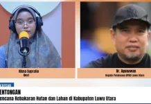 Kemarau Panjang, Luwu Utara Siapkan Langkah Waspadai Karhutla