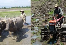 Kehidupan Masyarakat di tengah Perubahan Zaman Semakin Menuntut Keseimbangan