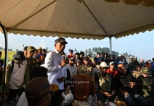 Panen Padi di Desa Bola Bulu, Bupati Sidrap Optimistis Pertanian Maju