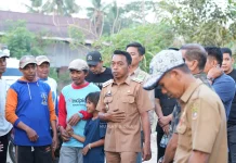 Bupati Sidrap Cek Sawah di Kelurahan Bangkai, Pastikan Listrik Masuk Sawah