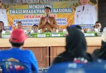 Panen 11 Ton per Hektare di Aka-Akae, Petani Bertahan di tengah Kemarau