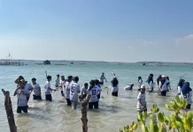 Field Trip Science Athirah: Menanam Mangrove, Menjaga Masa Depan Lingkungan