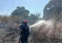 Lahan Terbakar di Sekitar Bandara Sultan Hasanuddin, Api Berhasil Dikendalikan