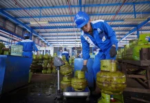 Pertamina Perkuat Penyaluran LPG 3 Kg di Sulawesi