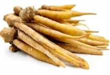 Temu Kunci, Rempah Lokal yang Bikin Sayur Bening Makin Segar