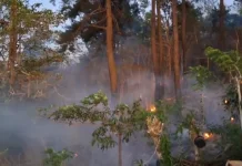 Kebakaran Lahan 1 Hektare Terjadi di Mandai Maros, Diduga dari Bakar Sampah