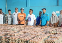 Bupati Sidrap Tinjau Peternakan Ayam Kulo Berkapasitas Besar