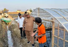 Kemarau Panjang Jadi Berkah, Warga Bontoa Maros Panen Garam