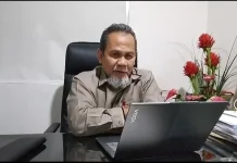 Pengembangan E50, Pemerintah Diminta Perhatikan Empat Aspek Ini
