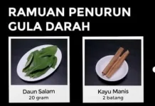 Resep Herbal Daun Salam dan Kayu Manis Penurun Gula Darah