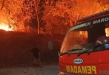 Api Mengganas di Tanralili, Kebakaran Lahan Nyaris Masuk Area PT Japfa