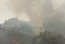 Asap Tebal Kepung Waduk Nipa-Nipa, Damkar Maros Kerahkan Satu Armada