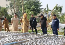 Kampung Nelayan Cempae Dipoles, Pemkot Parepare Bidik Kesejahteraan Nelayan