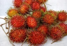 Rambutan tak hanya manis, buah Ini juga punya manfaat bagi Kesehatan