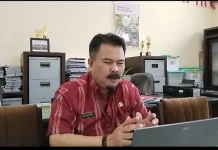 Produksi Cabai Sulsel Tetap Stabil Ditengah El Nino