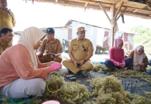 Luwu Perkuat Potensi Rumput Laut untuk Ekonomi Pesisir