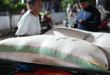 Panen Ditengah Kemarau, Petani Sidrap Serahkan Dua Karung Gabah ke Bupati