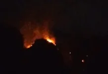 Api Tak Kunjung Jinak, Karhutla TN Babul Meluas Dampak Sulitnya Medan Karst