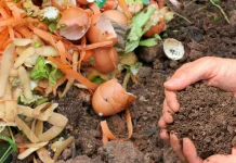 Sampah Organik Diolah Jadi Pupuk oleh Tumpuk Sampah