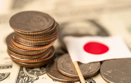 Kakeibo Jadi Cara Sederhana Atur Keuangan dan Menabung