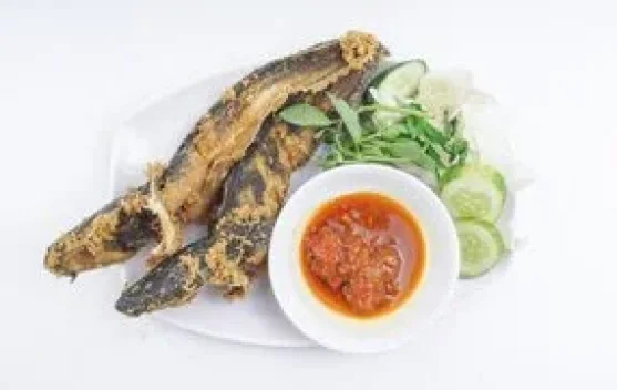 Kandungan Nutrisi dan Risiko Polutan Ikan Lele