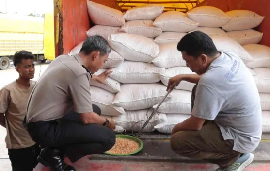 Polda Sulsel Terus Memastikan Harga Jagung Petani Stabil
