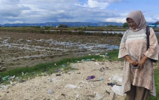 Limbah Cangkang Kepiting di Maros Berpotensi Jadi Pakan Ternak dan Sumber Kalsium