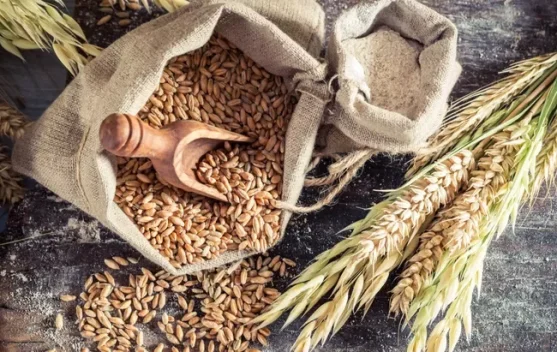 Menjaga Tubuh Tetap Fit, Ini Deretan Makanan Pencegah Gula Darah Rendah
