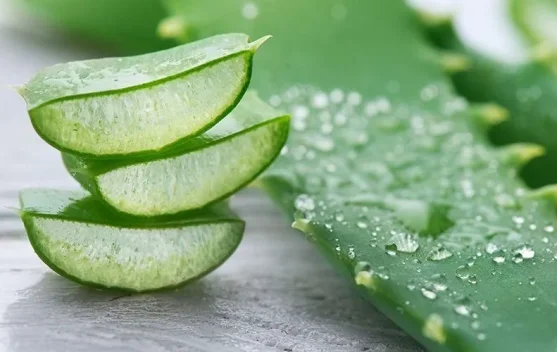 Rahasia Kulit Glowing dan Lembap Alami dengan Gel Lidah Buaya Murni