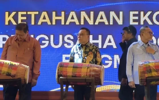 Pesan Sufmi Dasco ke Pengusaha, Jangan Abaikan Peran Media Sosial