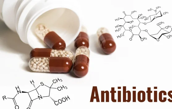 Pakar Ingatkan Masyarakat Tak Sembarangan Konsumsi Antibiotik