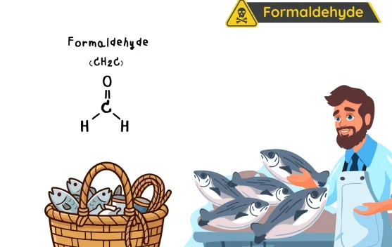 Formaldehid Alami pada Ikan, Bukan Kontaminasi Sengaja Formalin