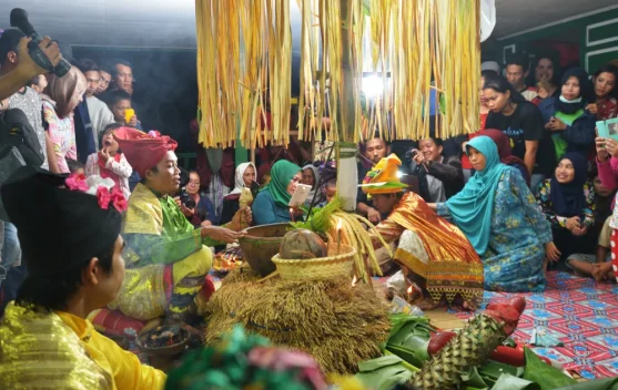 Genrang Palili’ Jadi Bagian Penting Ritual Adat Mappalili’ di Segeri