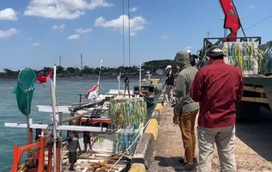 Dinas Perikanan Bulukumba Turunkan Apartemen Ikan ke Laut Sebagai Habitat Baru