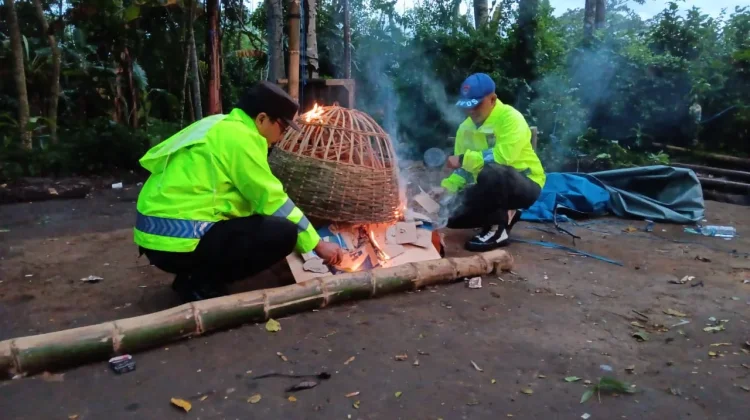 Warga Lapor 110, Polisi Bongkar Arena Sabung Ayam di Sumperpucung