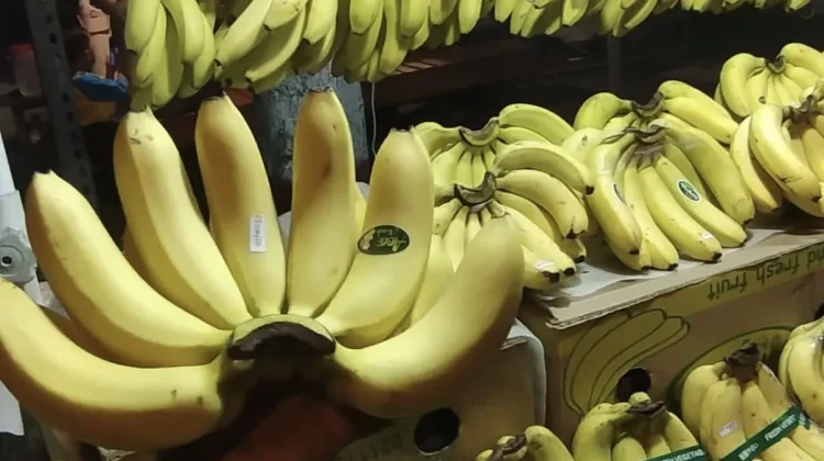MBG Gerakkan Ekonomi Desa, Petani Pisang Rasakan Multiplier Effect
