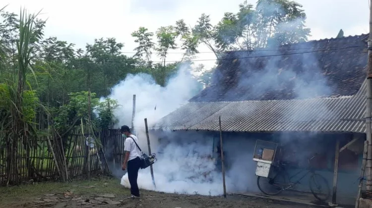 Puskesmas Dringu Intensifkan PSN, Targetkan Angka Bebas Jentik Capai 95 Persen