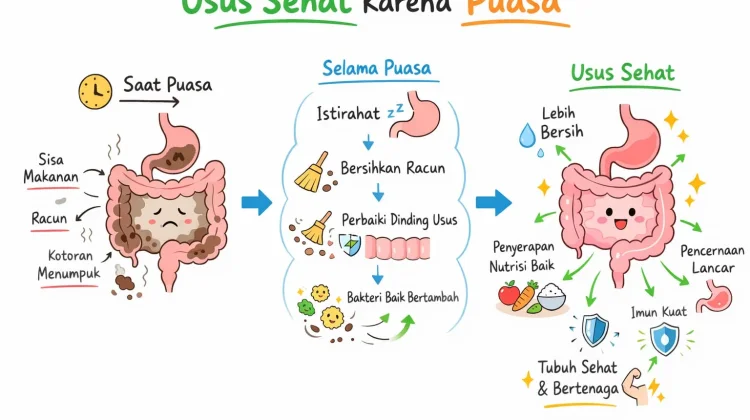 5 Fakta Usus yang Wajib Kamu Tahu sebelum Puasa