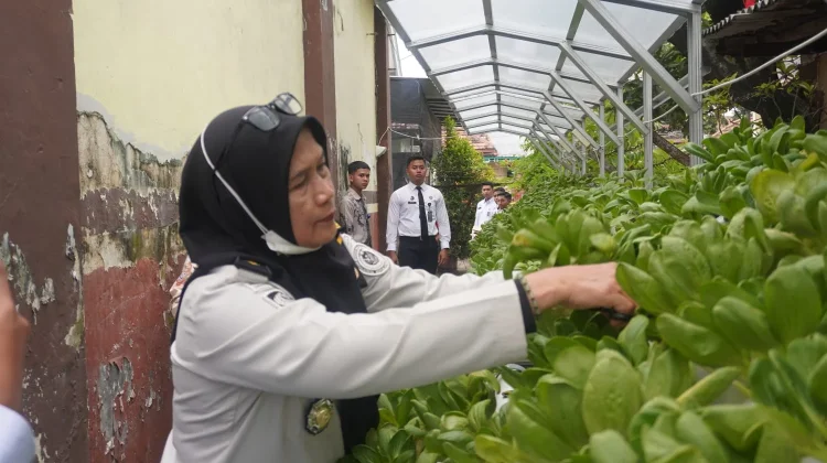 Rutan Bangil Sukses Budidaya Lele dan Tanaman Sayuran