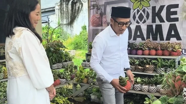 UMKM Kriya Inovatif, Kokedama Kota Batu Ekspor ke Jepang