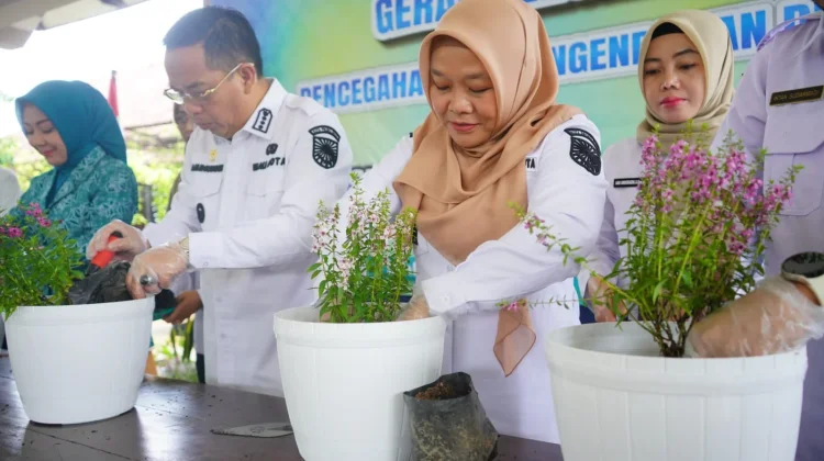 Pemkot Probolinggo Gerakkan PSN 3M dan Lavenderisasi untuk Cegah DBD